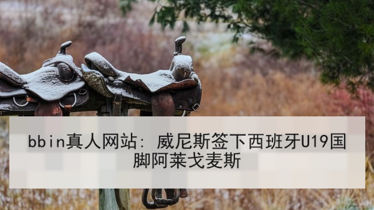 bbin真人网站: 威尼斯签下西班牙U19国脚阿莱戈麦斯