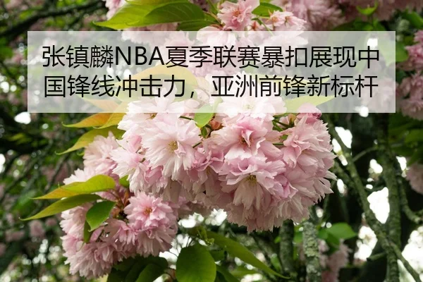 zhang-zhen-lin-xia-ji-lian-sai-bao-kou-zhan-xian-zhong-guo-feng-xian-chong-ji-li-ya-zhou-qian-feng-xin-biao-gan-3-383.jpg