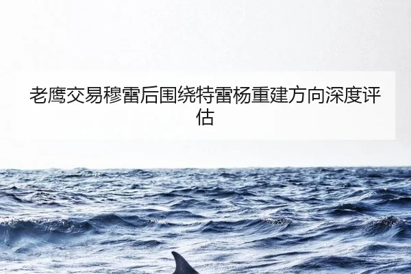 老鹰交易穆雷后围绕特雷杨重建方向深度评估