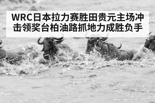 WRC日本拉力赛胜田贵元主场冲击领奖台柏油路抓地力成胜负手